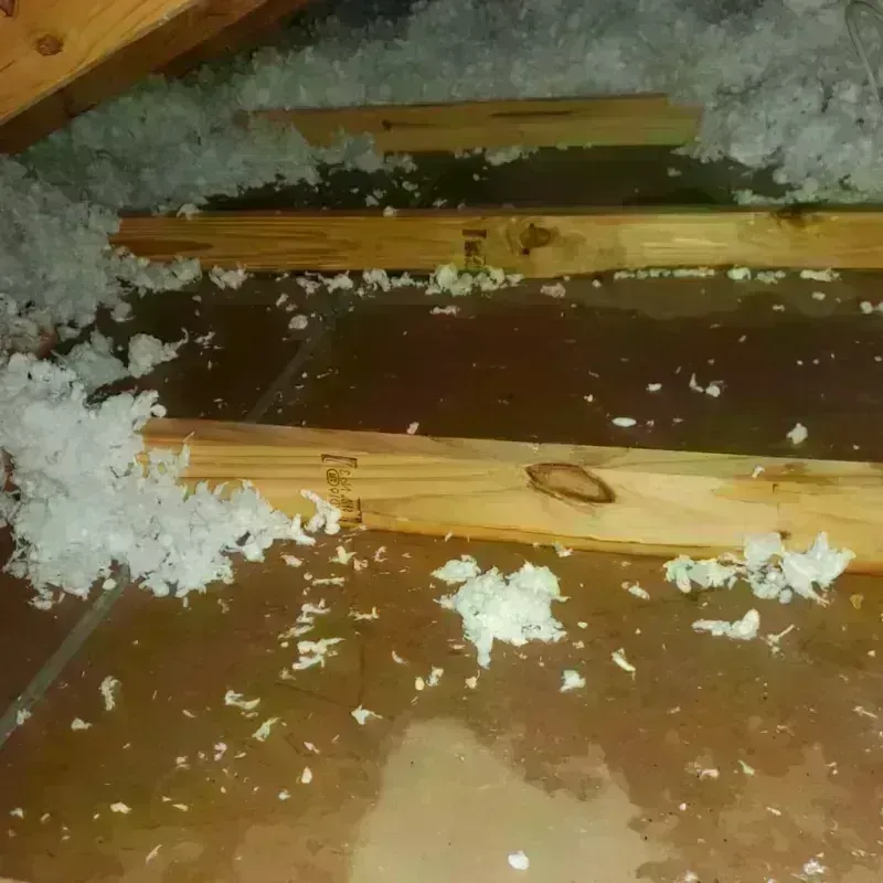 Attic Water Damage in Dousman, WI