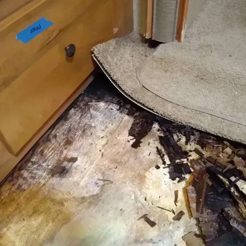 Wood Floor Water Damage in Dousman, WI